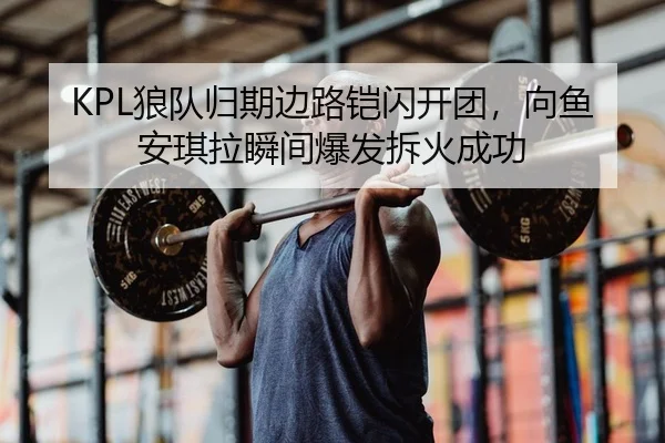 KPL狼队归期边路铠闪开团，向鱼安琪拉瞬间爆发拆火成功